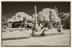 DSC 3554-Edit