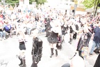 DSC 5879
